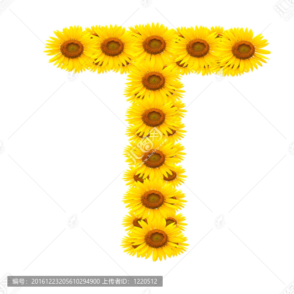 向日葵；字母表
