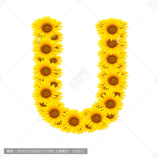 向日葵；字母表
