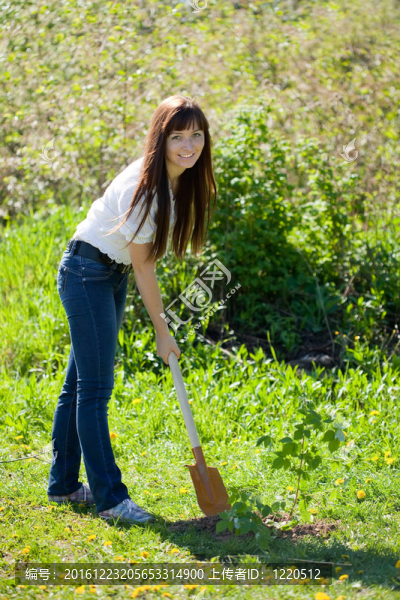 園藝的女人