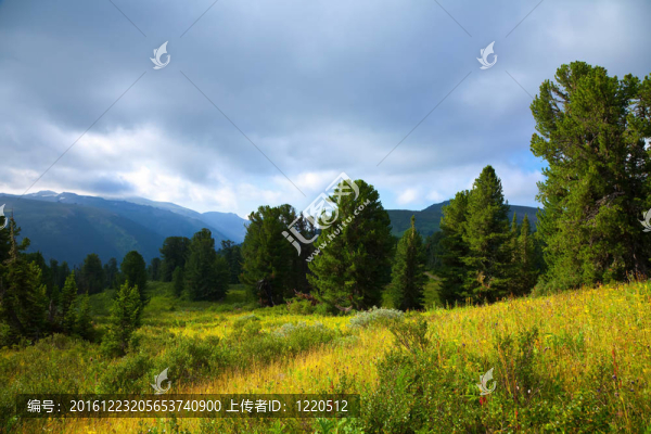 山地景觀