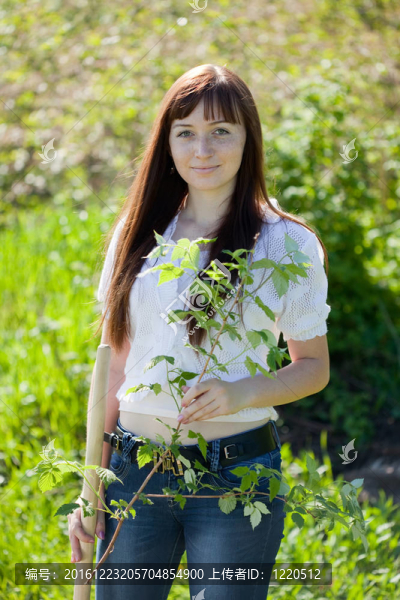 女人種植栗