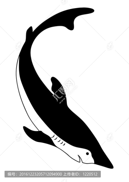 白色背景下的鯊魚剪影；插圖
