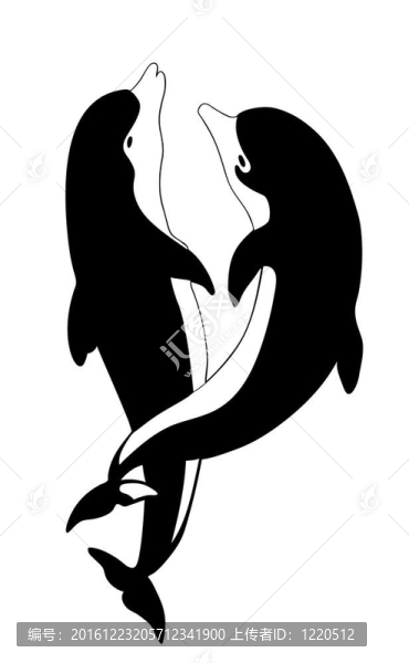 白色背景上的兩只海豚剪影；插圖