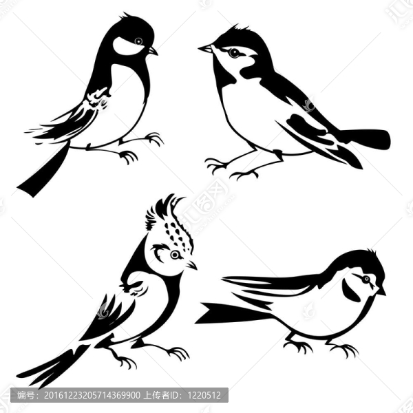 白色背景上的鳥(niǎo)類(lèi)剪影；插圖