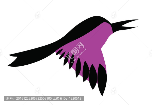 白色背景的丁香鳥