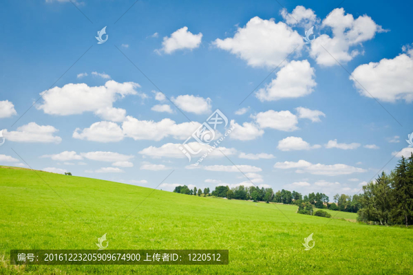 農(nóng)業(yè)景觀