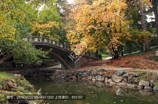 頤和園的秋天