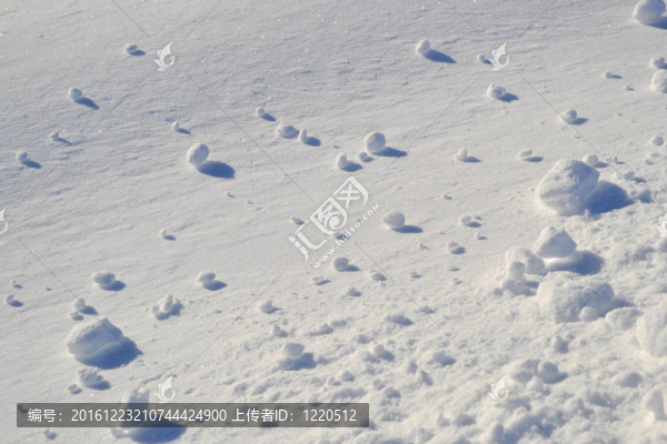 新鮮的雪的背景