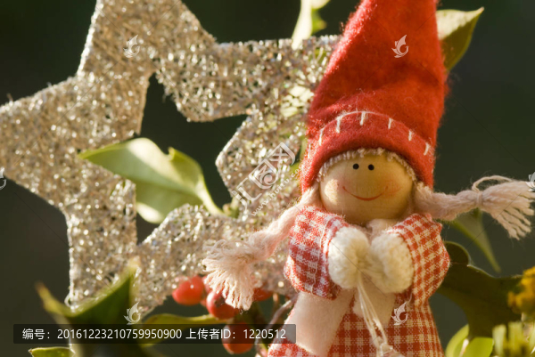 圣誕卡；精靈女孩