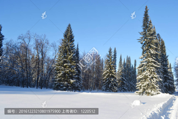 冬季景觀