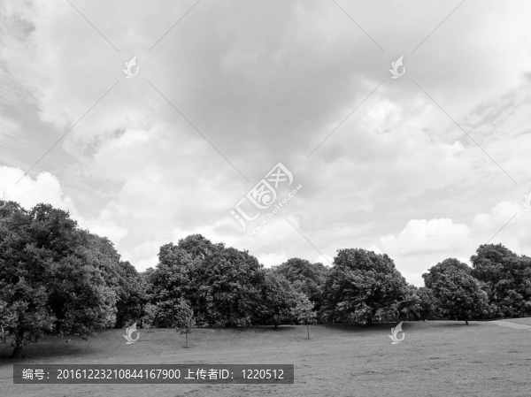 Kensington花園；倫敦
