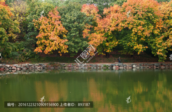 頤和園的秋天
