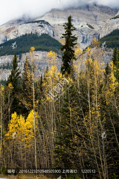洛磯山