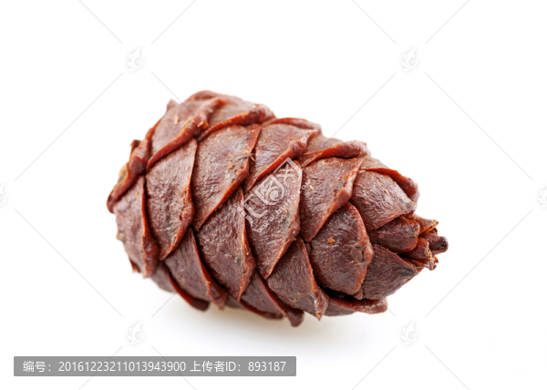 松子,松子球,果實(shí)