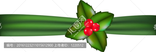 絲帶和Holly,Berry