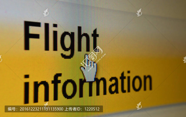 飛行信息計算機屏幕