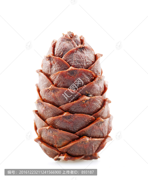 松子球