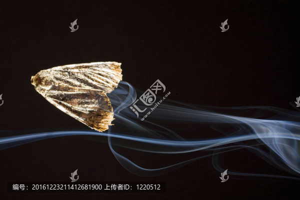 狡猾的飛行