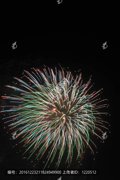 夜空中的煙花
