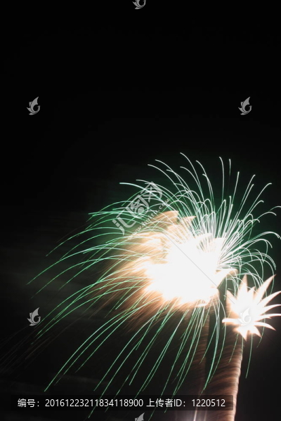 夜空中的煙花