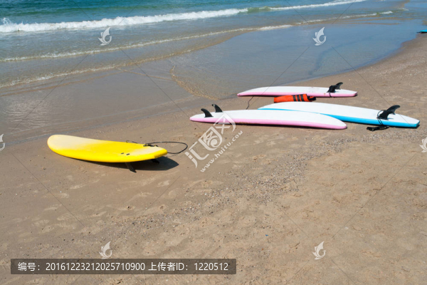沙灘上沖浪板