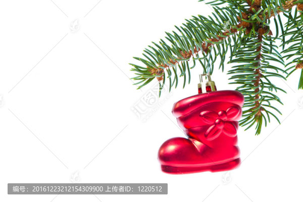 紅色圣誕星掛在樹(shù)上