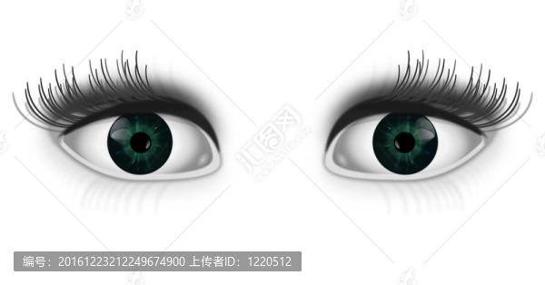 間諜眼。