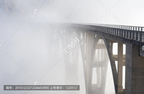 Djurdjevica塔拉橋