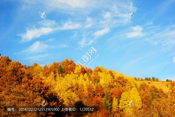 美麗的秋天的山