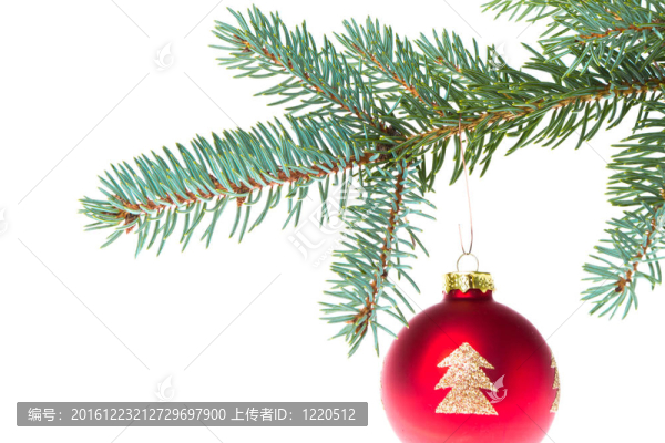 紅色圣誕球在樹枝上
