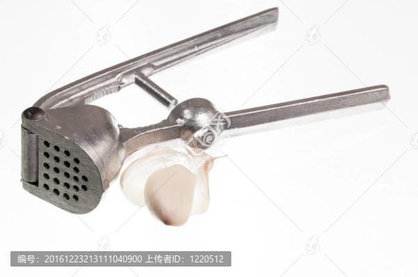 大蒜壓榨機(jī)