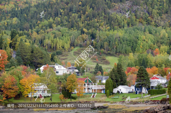 在山坡上的房屋