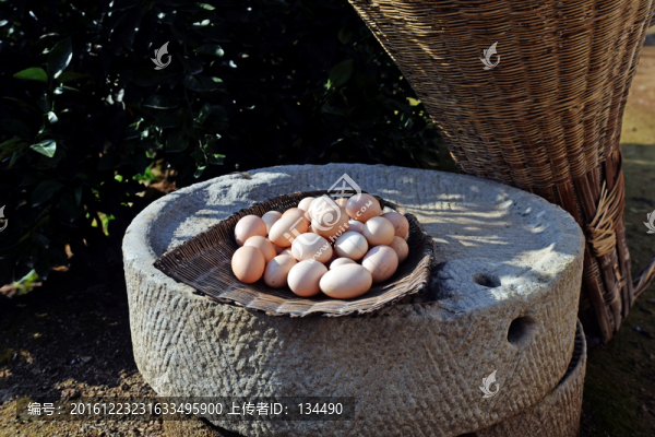 農(nóng)家土雞蛋