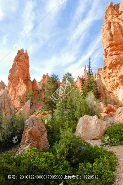 Bryce,Canyon石林