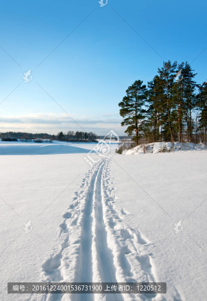 越野滑雪道