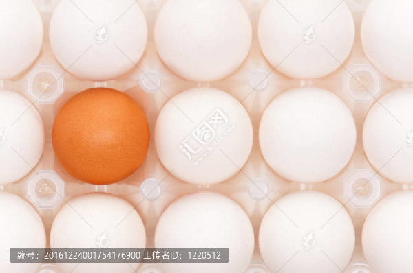 雞蛋盒