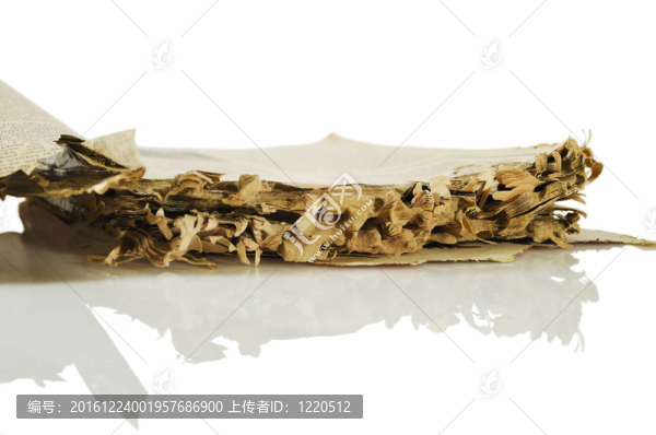 白蟻損壞的書(shū)