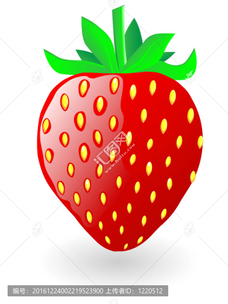 Strawberry。插畫。