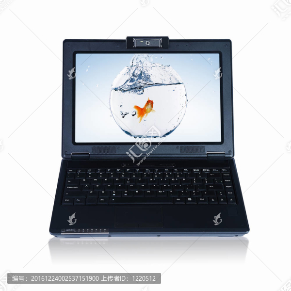 金魚和筆記本