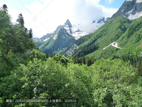 高加索山脈的高山草甸