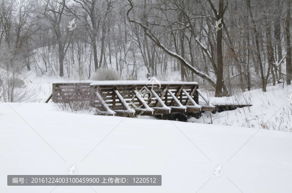 kaposia公園被雪覆蓋的橋