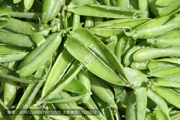 空豌豆莢。