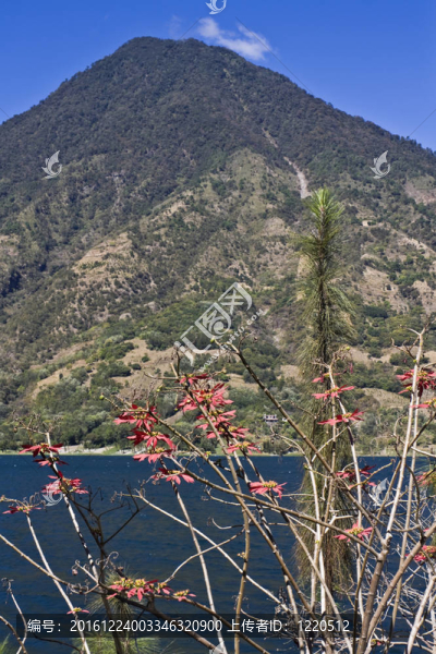火山湖Attilan
