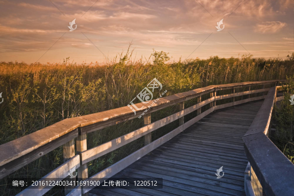 甲板上的大沼澤地國家公園