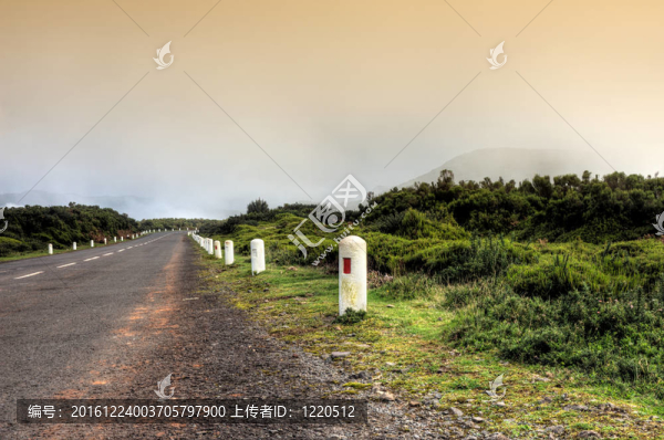 在自然公園de,Madeira普拉托路；馬德拉群島島；葡萄牙