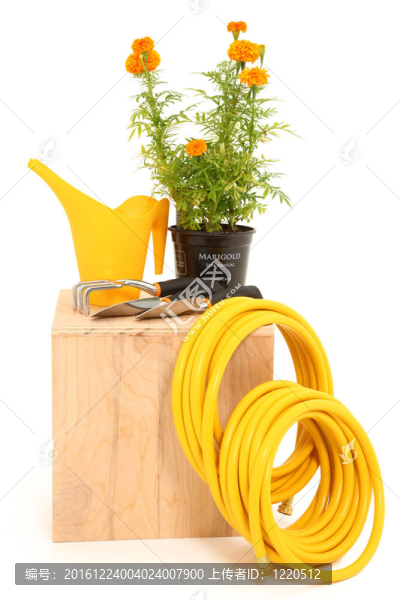 金盞花園工具