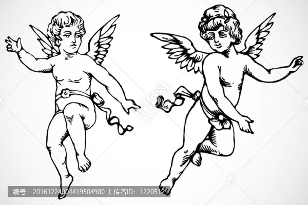 向量的丘比特