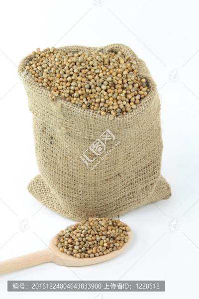 香料芫荽種子。