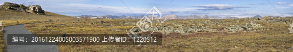 tundr,TRAIL在落基山脈