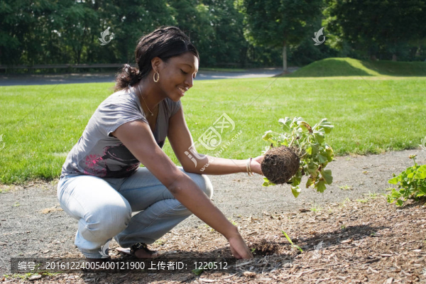 女人種植花卉